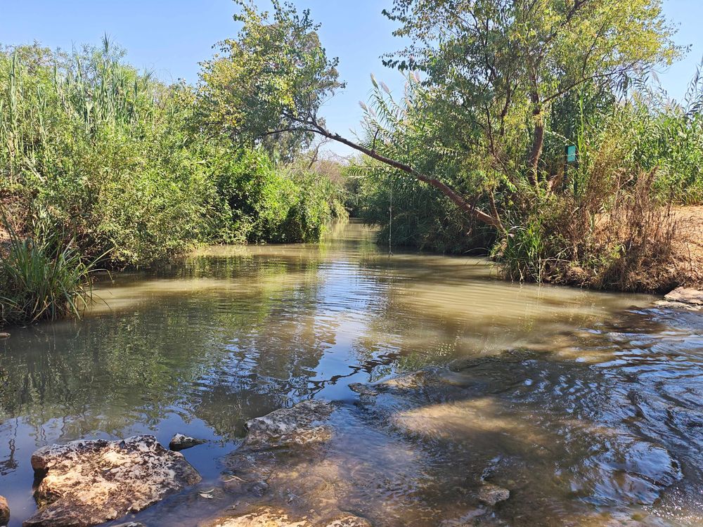 טיול בהוד השרון: טבע, מבוכים, תירס ועגלות קפה